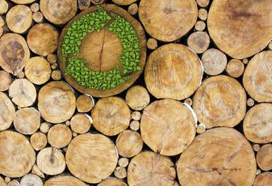 Baumstämme mit begrüntem Recycling-Zeichen - Nachhaltig Drucken